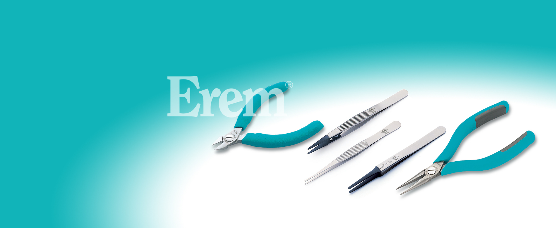 Erem 株式会社ラプラス